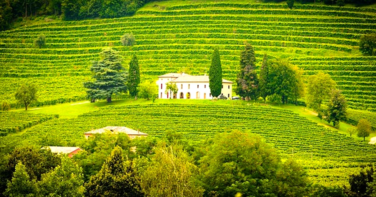 Avoid booking Biscay wineries without a last-mile plan
