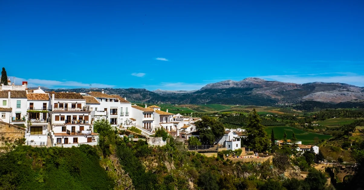 Avoid driver tours posing as private Spanish winery visits