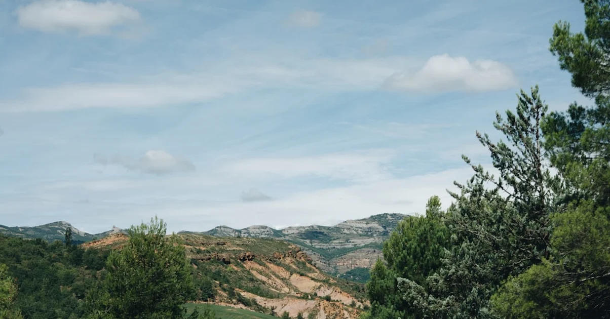 Avoid Spain’s Best Wineries That Don’t Fit Your Event
