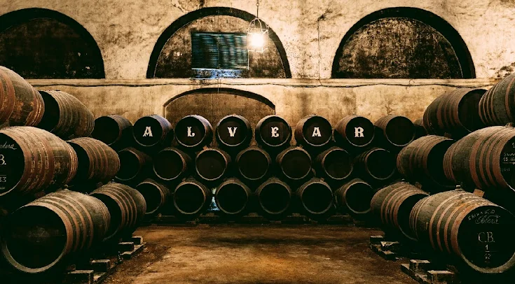 Bodega Alvear — Bodega in Montilla