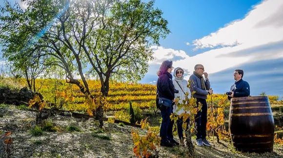 Celler Devinssi — Bodega in Gratallops