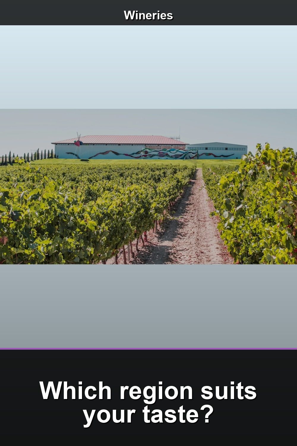 Choose Spain’s top wine tours without region overload