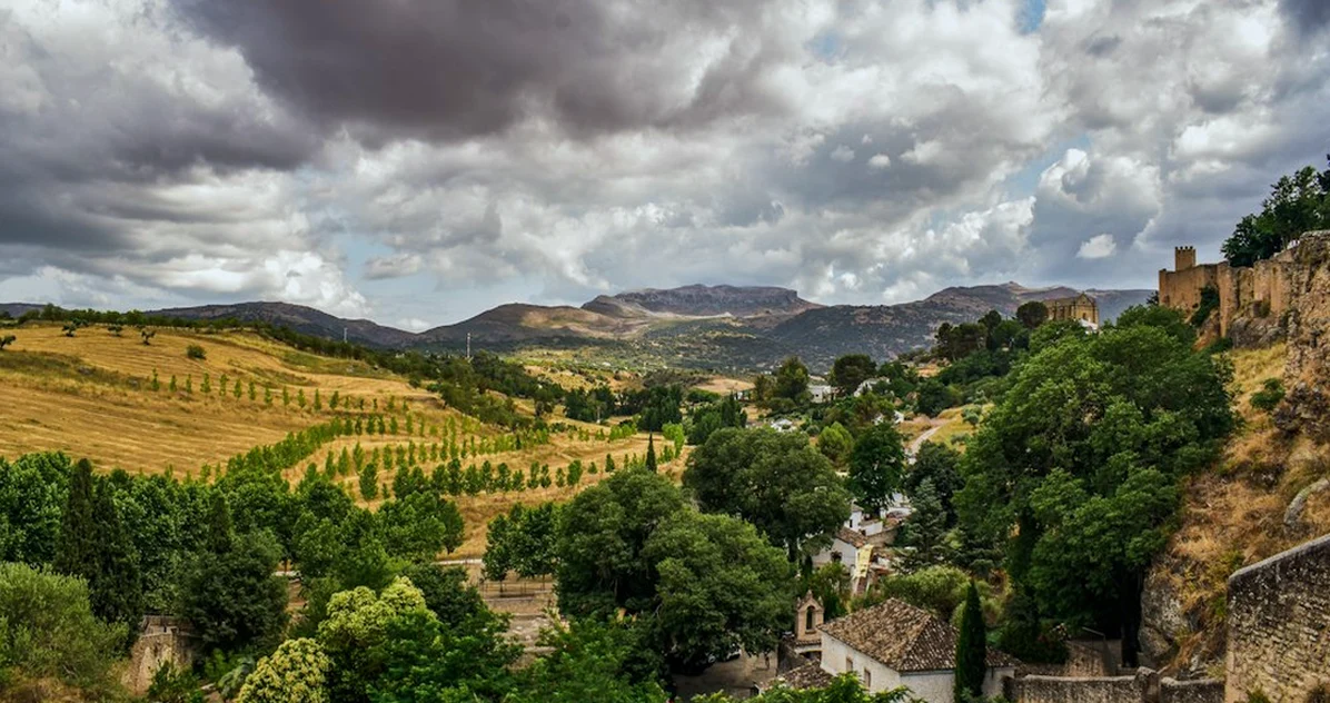 Don't assume beginner winery tours in Spain use English