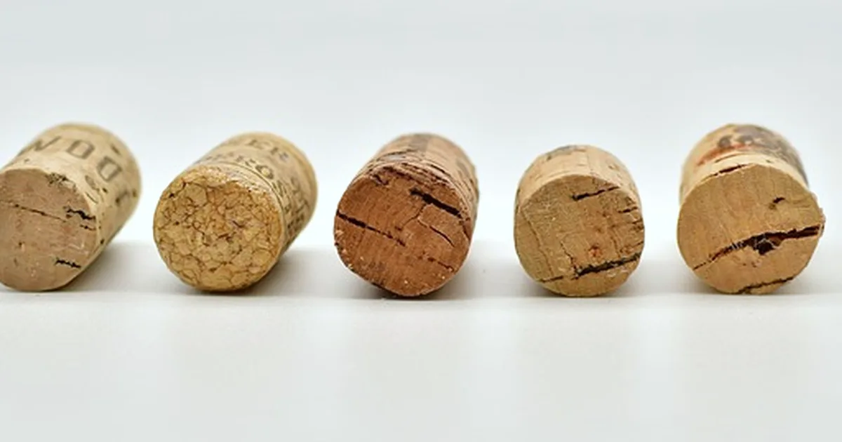Don't assume Ciudad Real wine tastings work car-free