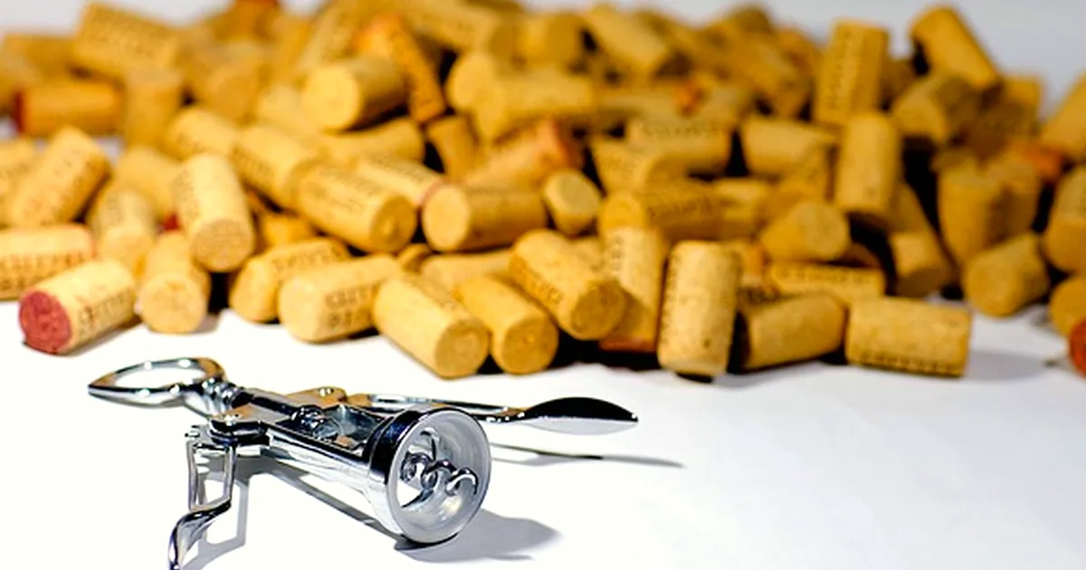 Don't book a Bilbao tasting for a Biscay winery visit