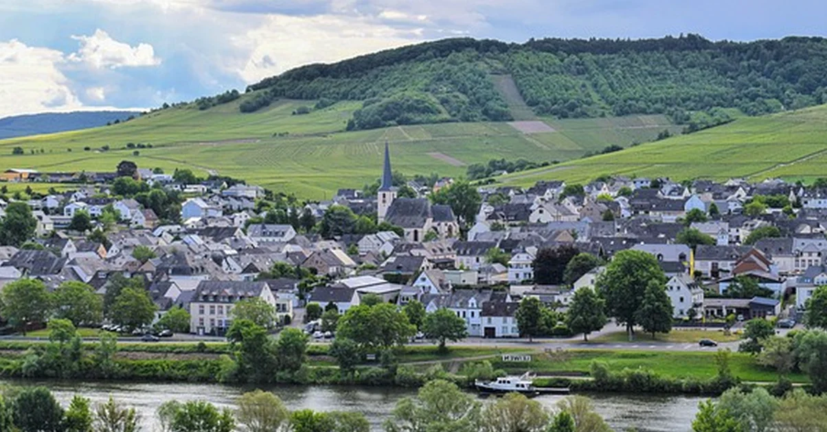 Don't Book a Winery Tour Expecting Vineyard Walks
