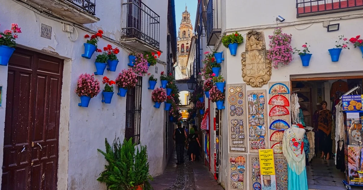 Don’t Choose Córdoba’s Best Wineries Without Transport