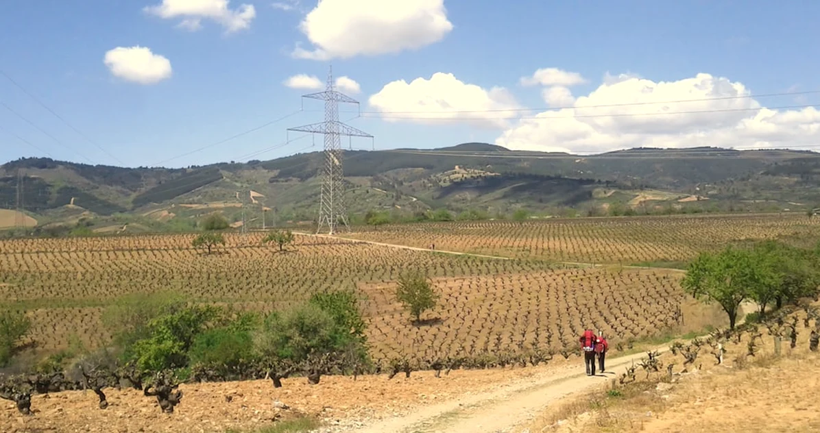 Don't lose a Spanish tasting by assuming walk-ins work