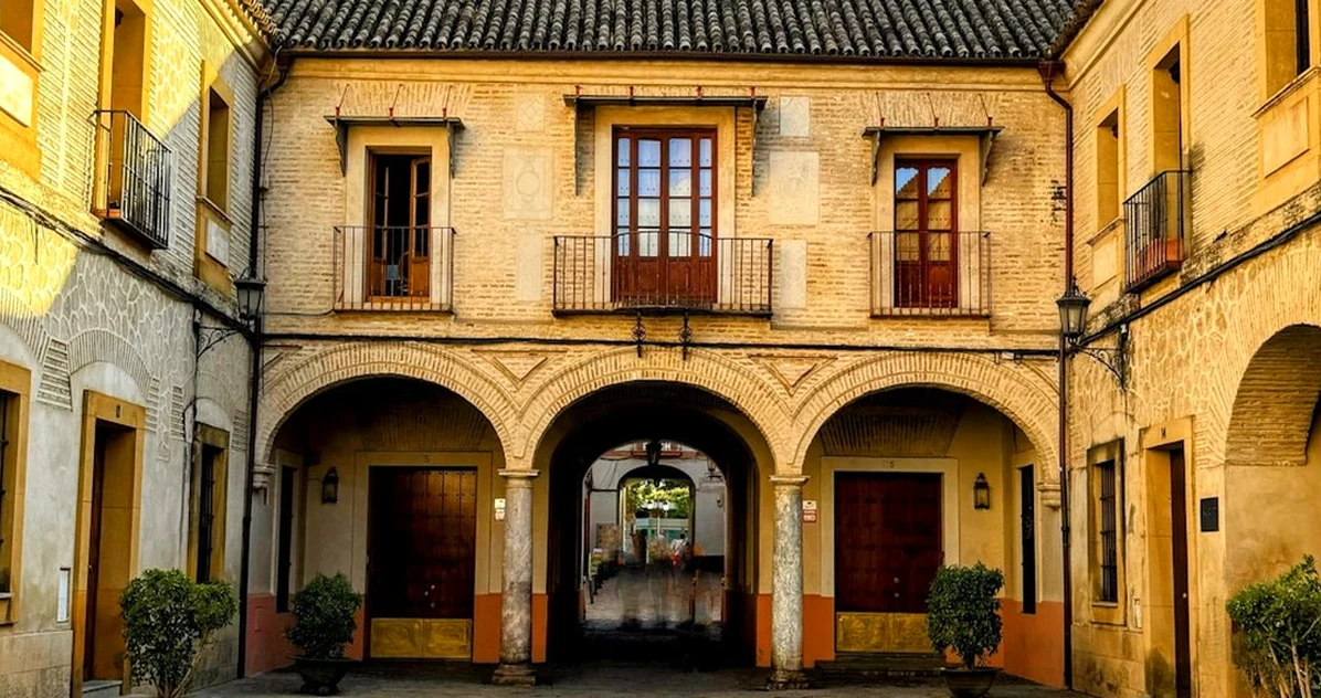 Find a Seville wine tour worth a full day