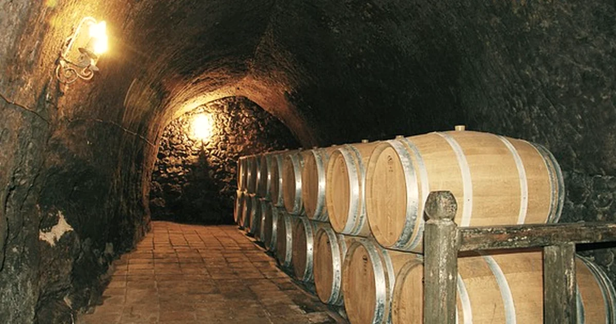 Find Biscay wineries that fit your Bilbao itinerary