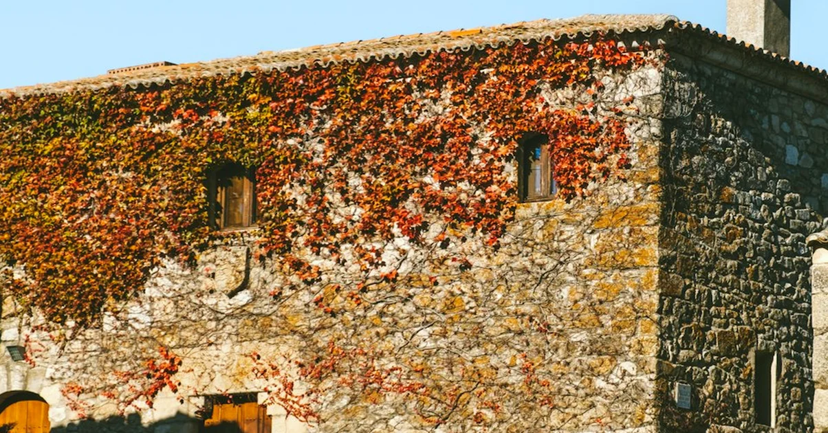 Know what each Spanish winery booking includes