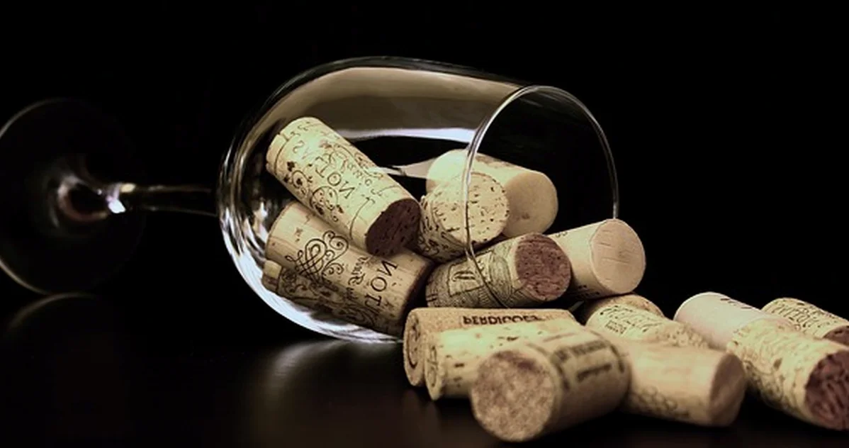 Match Time and Budget to Valencia Winery Tours