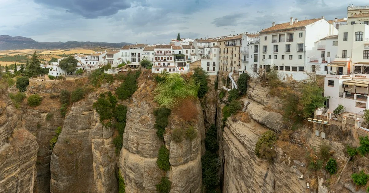Most Malaga winery visits need a car or a booking