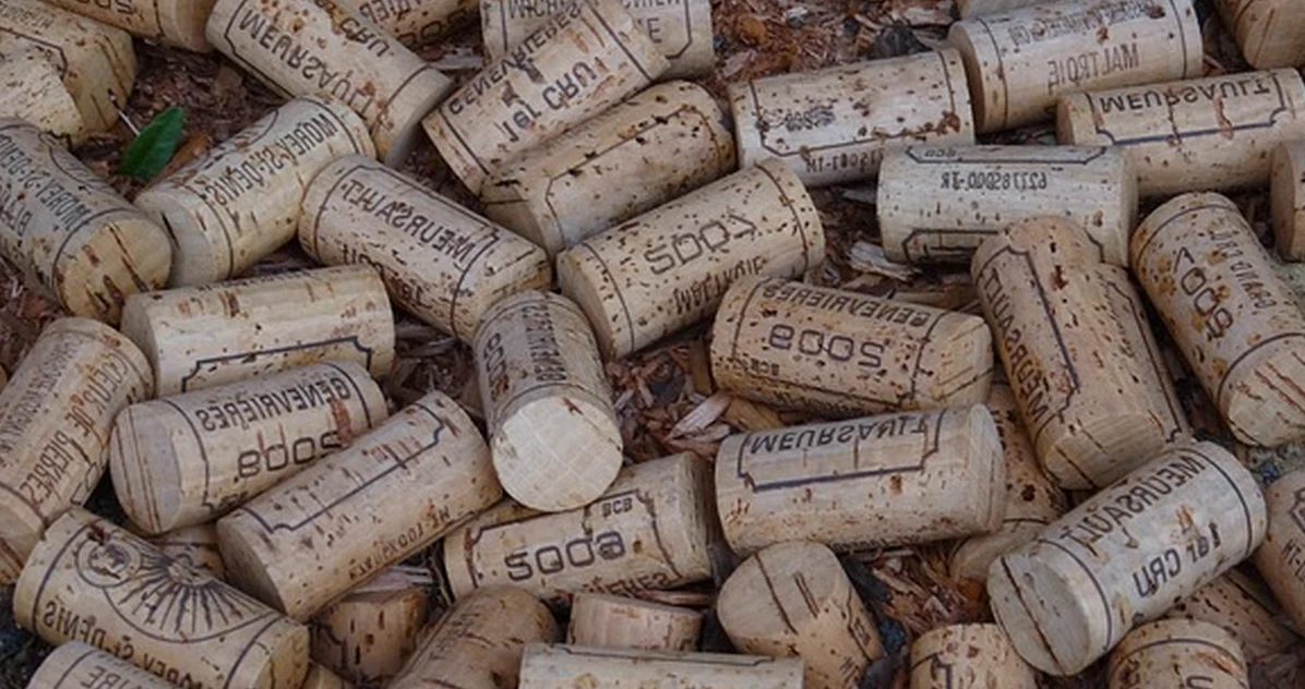 Winery shop hours rarely reveal tasting slots or prices